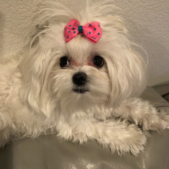 Meet your Posher, Tiffany - Picture 1 of 1